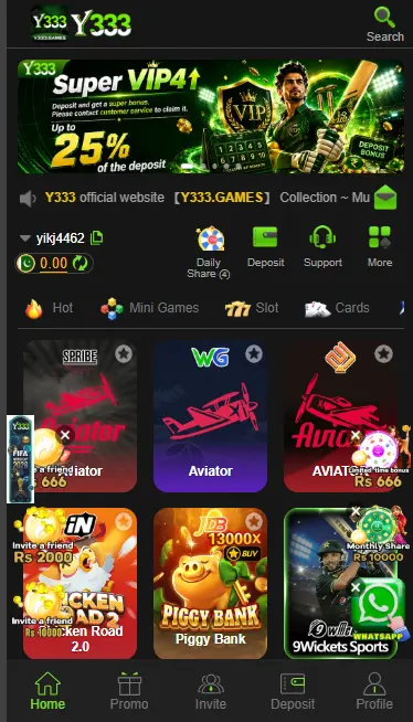 Y333 Game