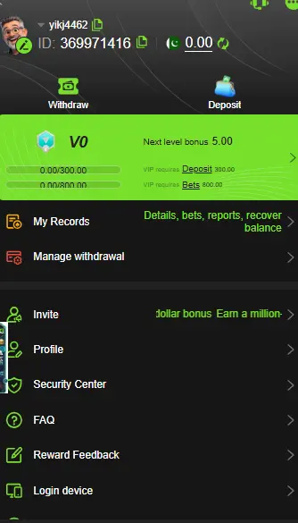 Y333 Game